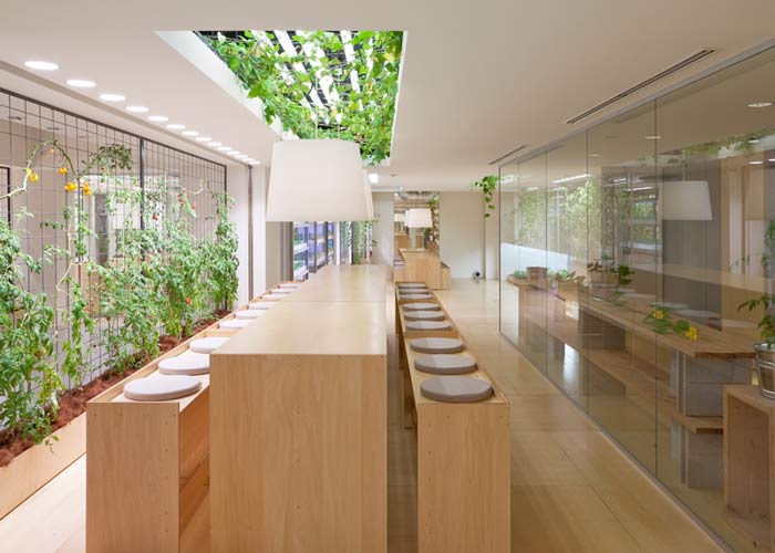 設置背景，形成對比